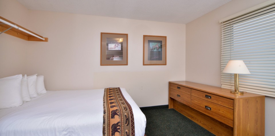 Queen Bed with dresser and clothing bar