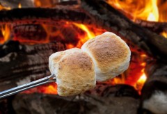 Roasting marshmallows over a fire