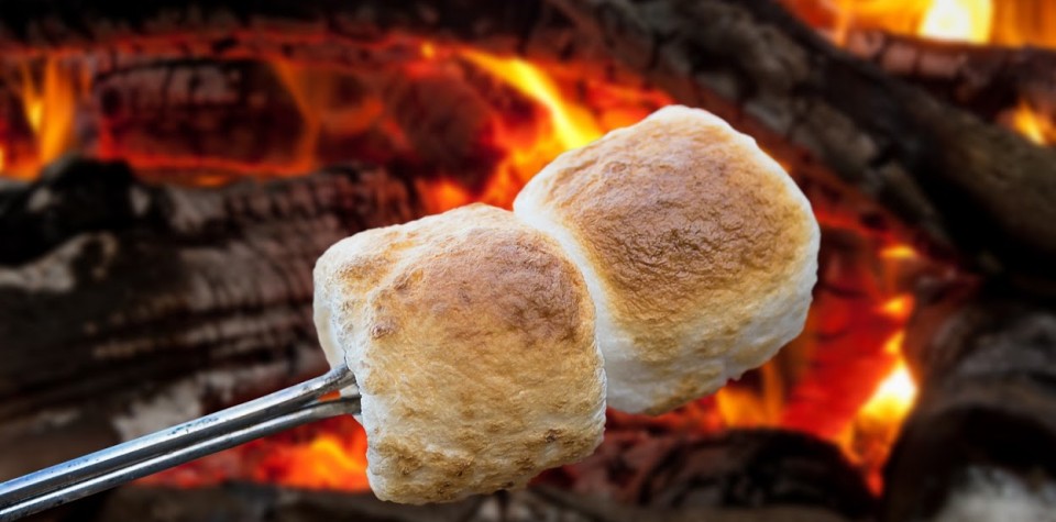 Roasting marshmallows over a fire